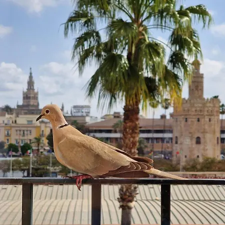 Betis Del Oro Casa vacanze Siviglia