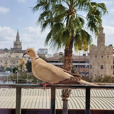 Betis Del Oro Сasa de vacaciones