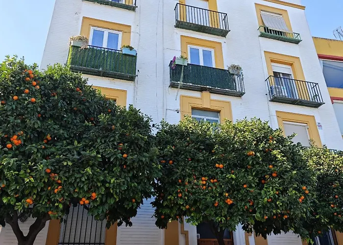 Betis Del Oro 아파트